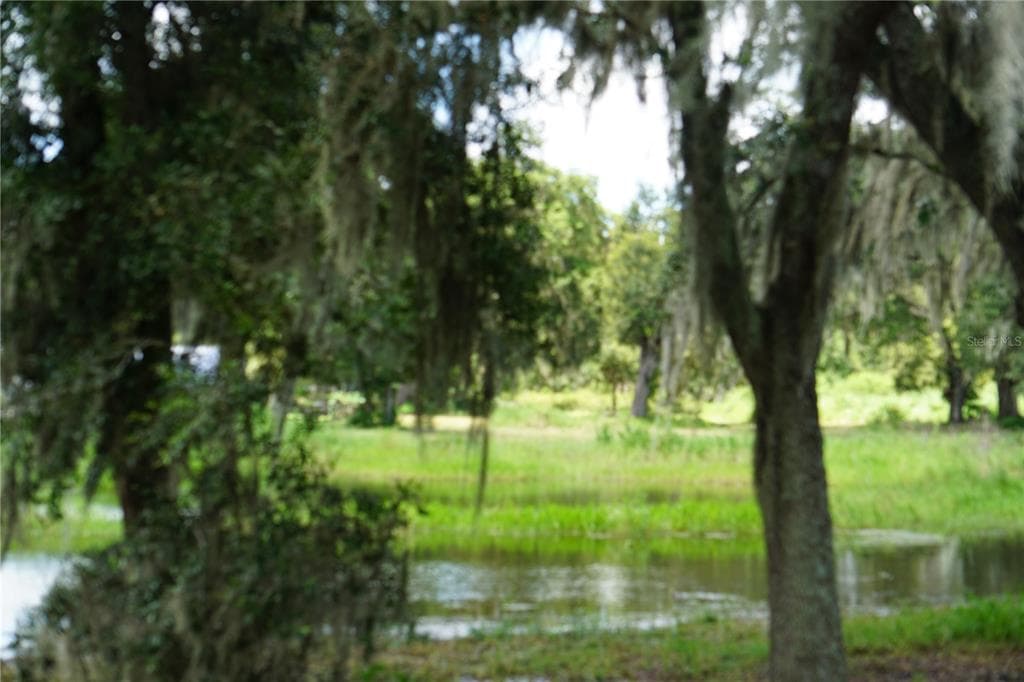 GALLAGHER ROAD PLANT CITY, FL 33565