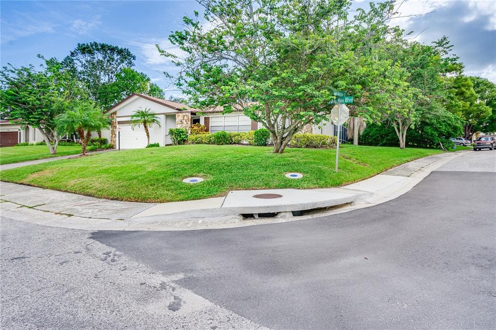 311 N BAY HILLS BOULEVARD SAFETY HARBOR, FL 34695