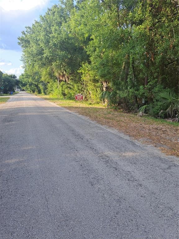 0 ROOSEVELT AVENUE GIBSONTON, FL 33534