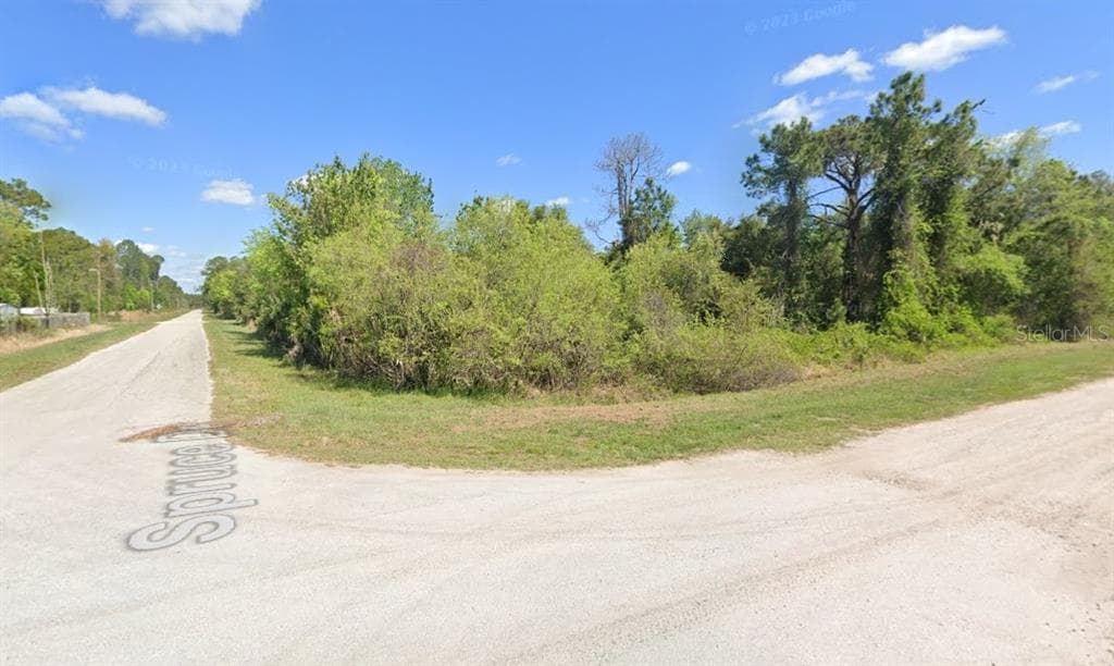 Lot 21 & Lot 22 SPRUCE DRIVE GEORGETOWN, FL 32139