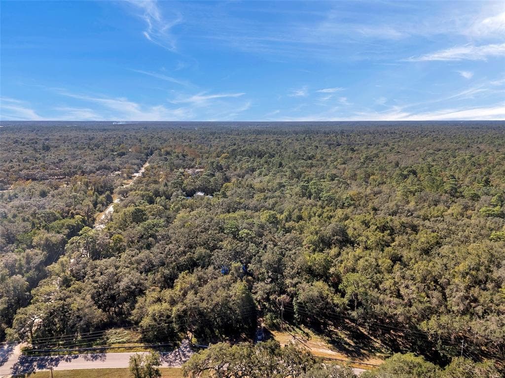 14004 PEACE BOULEVARD SPRING HILL, FL 34610