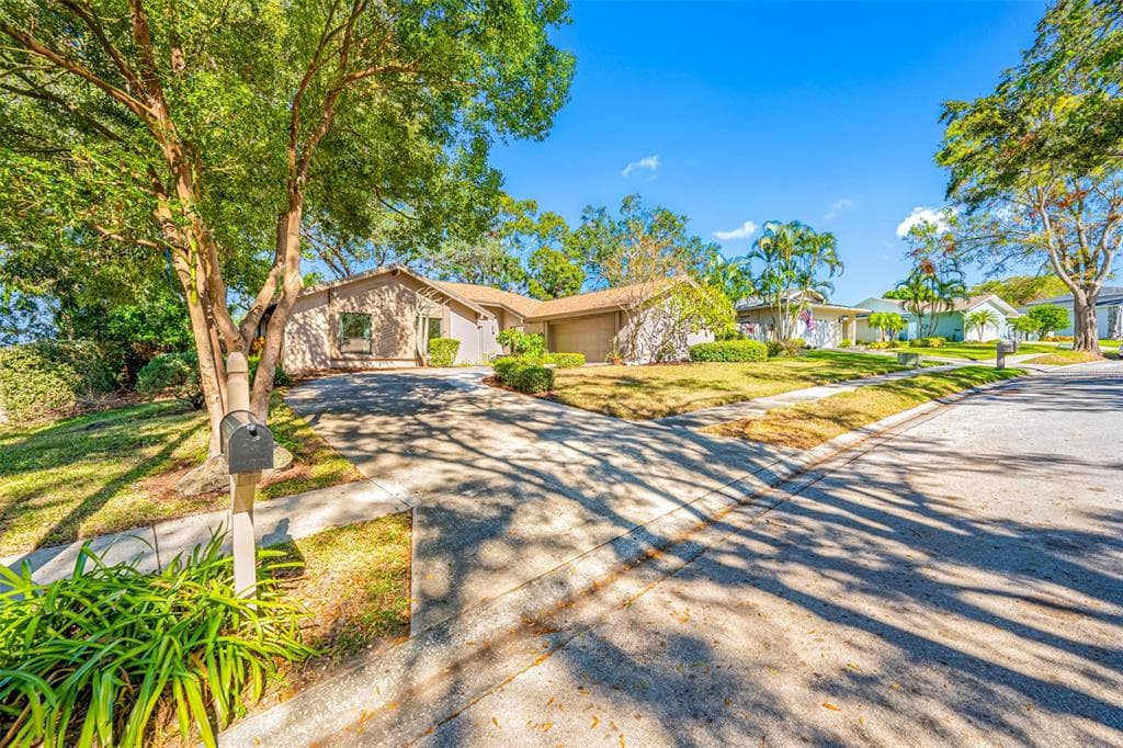 695 SANDY HOOK ROAD PALM HARBOR, FL 34683