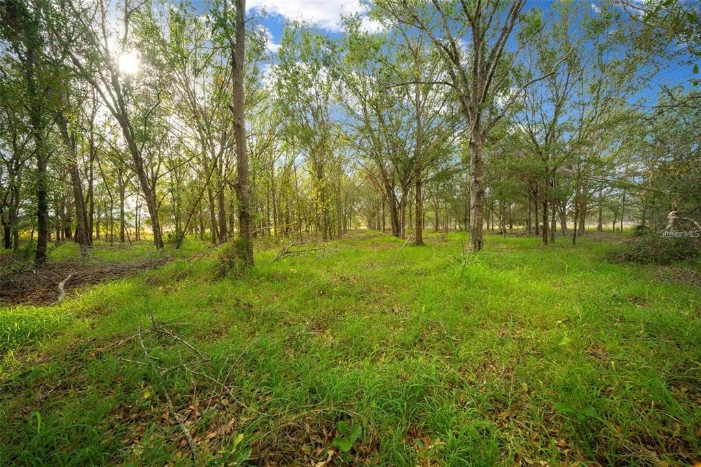 16211 ALDERMAN TURNER ROAD WIMAUMA, FL 33598