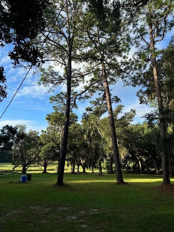 15370 SE 156TH PLACE ROAD WEIRSDALE, FL 32195