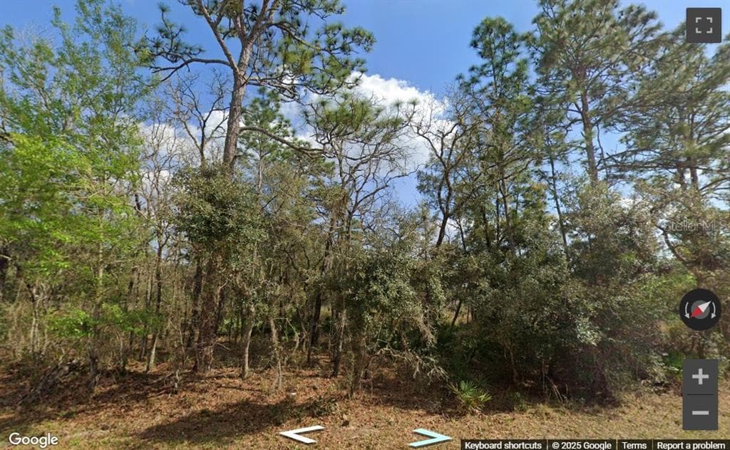 0 RIM ROCK WEBSTER, FL 33597