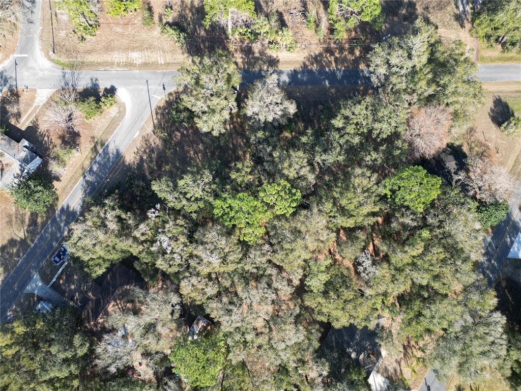 4530-004-024 BELLEVIEW, FL 34420