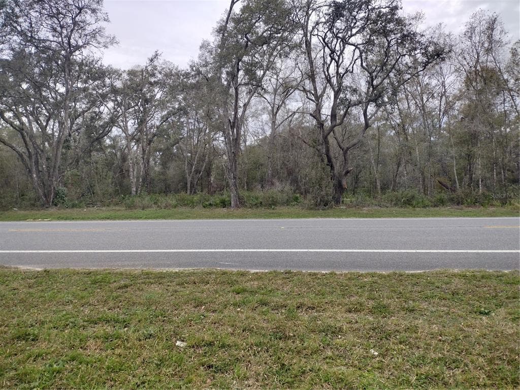 TREIMAN BOULEVARD WEBSTER, FL 33597
