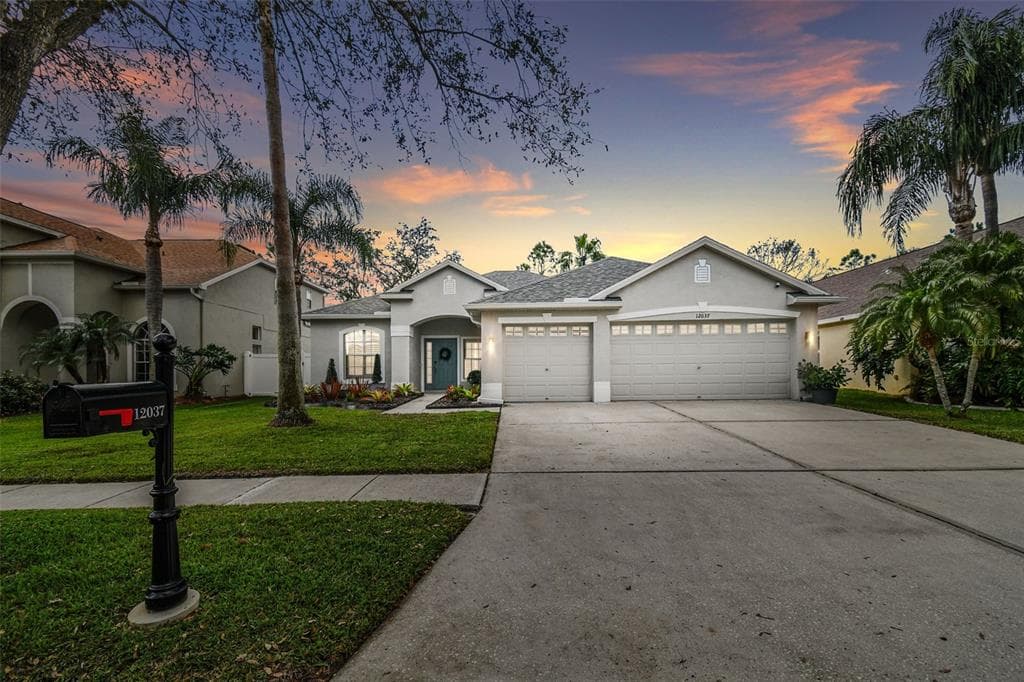 12037 MOUNTBATTEN DRIVE TAMPA, FL 33626