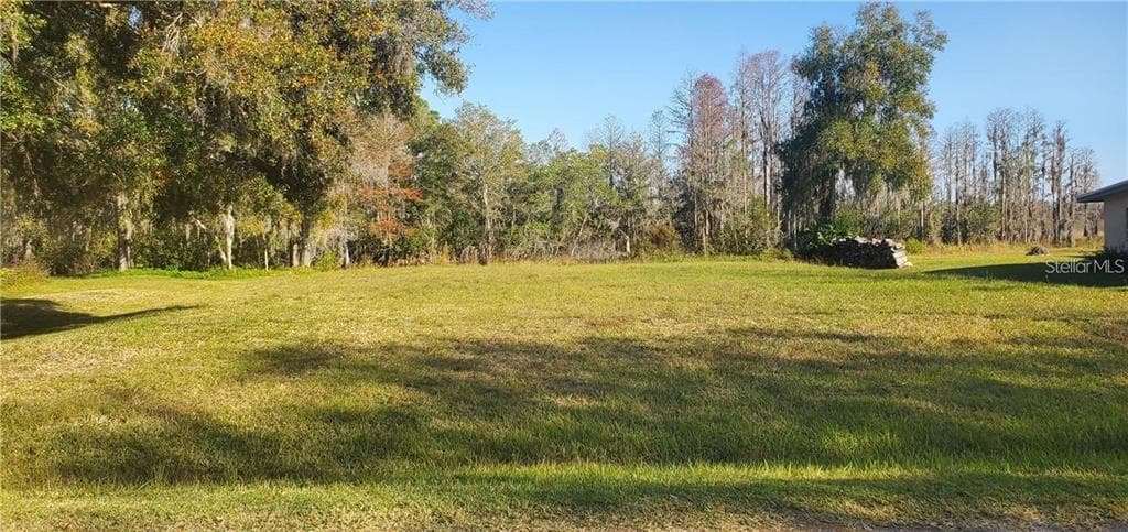 11124 LAKE SHORE DRIVE LAND O LAKES, FL 34637