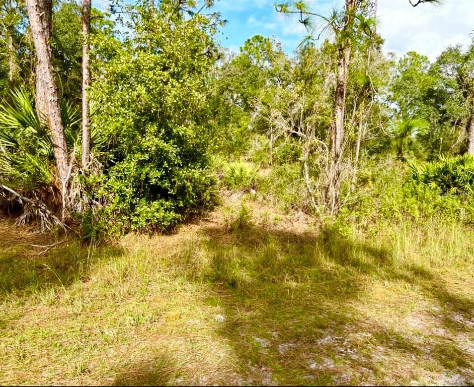 OLEANDER DRIVE