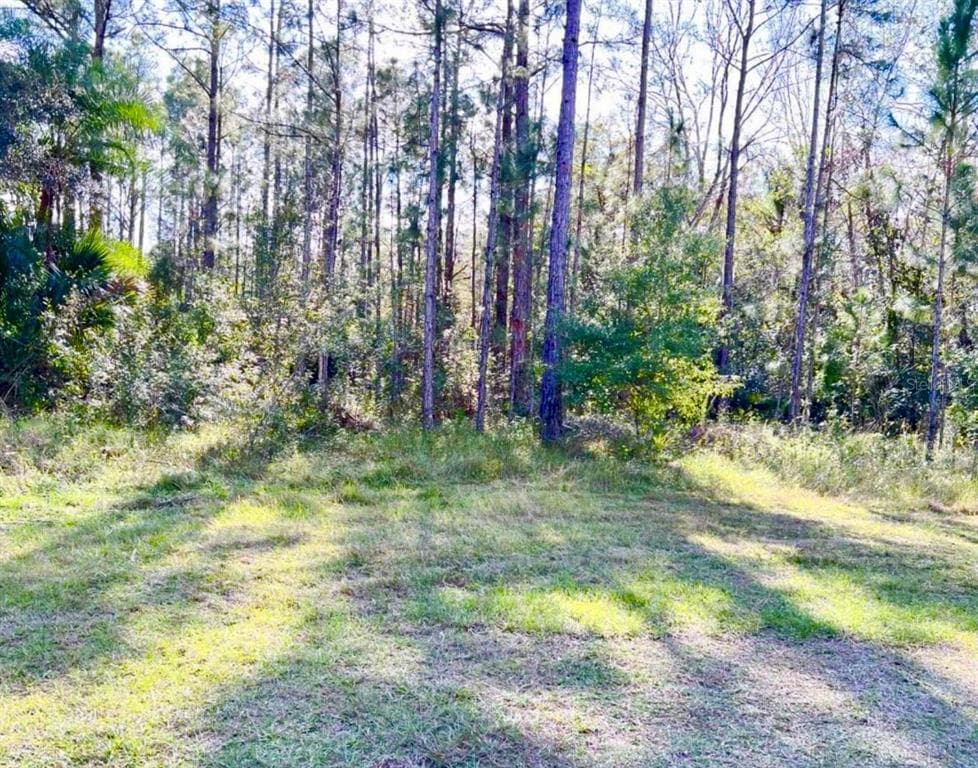 1011 INDIAN LAKE DRIVE INDIAN LAKE ESTATES, FL 33855