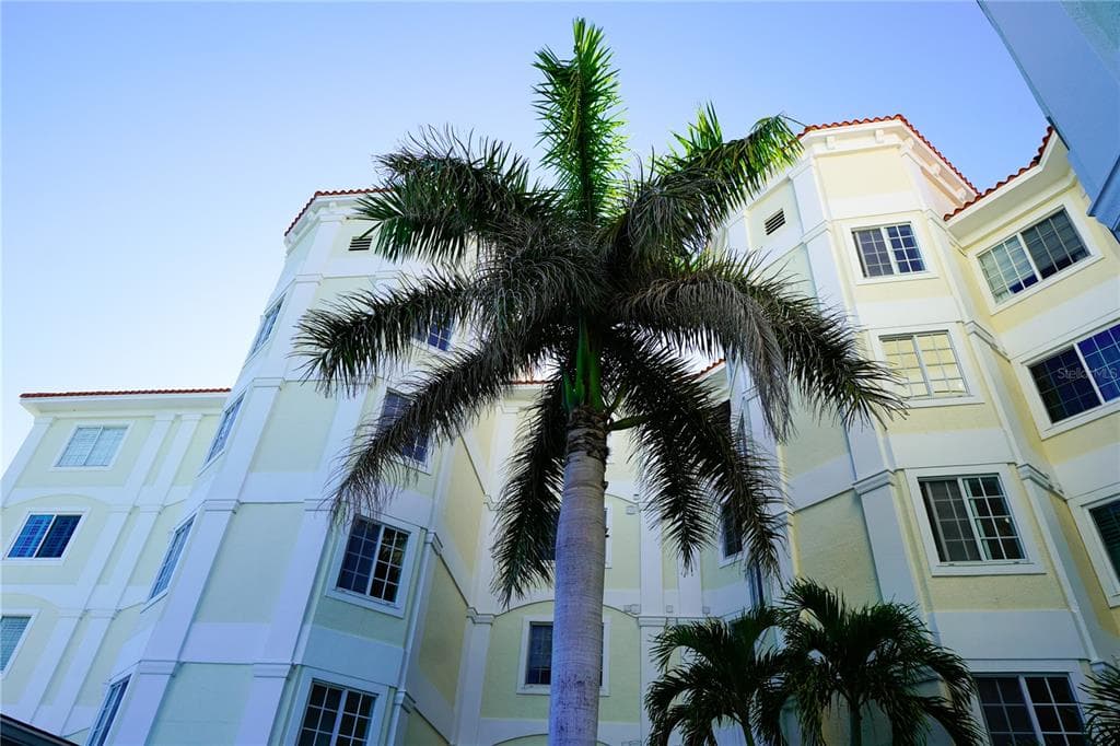 1860 N FORT HARRISON AVENUE UNIT 301 CLEARWATER, FL 33755