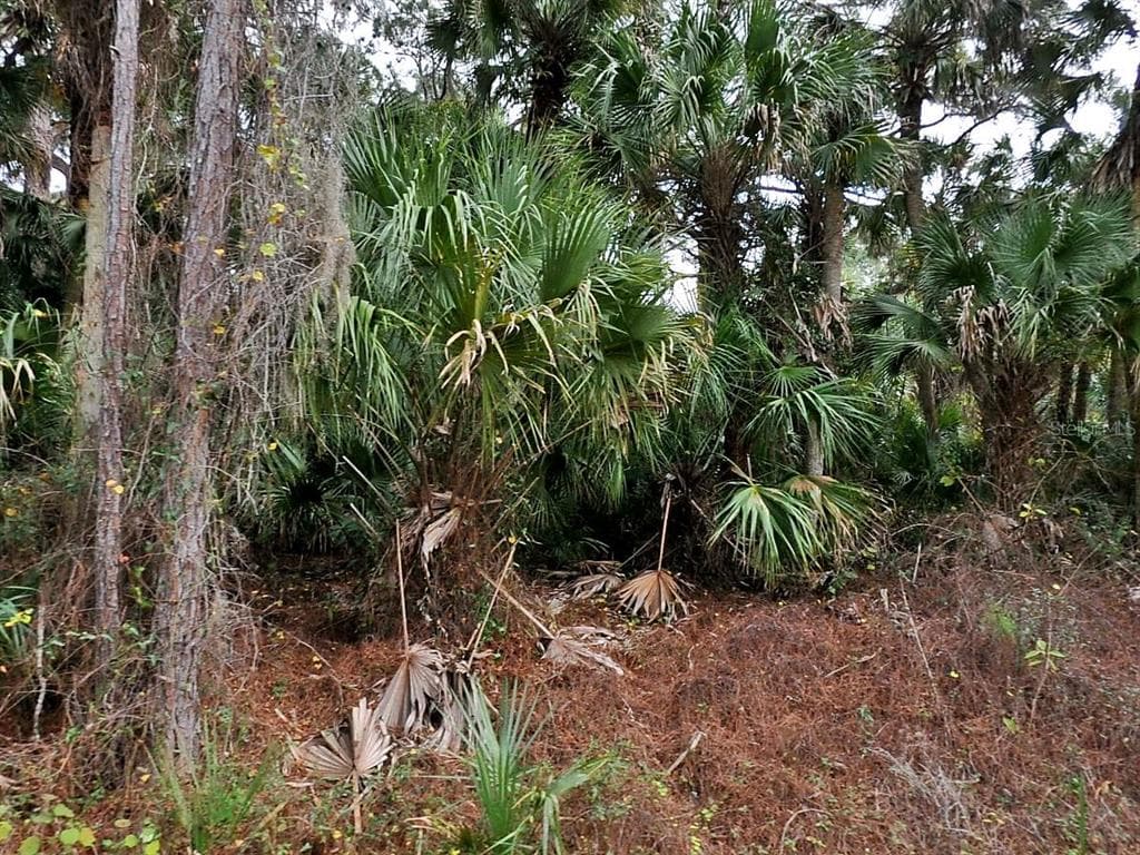 DAPHNE ROAD