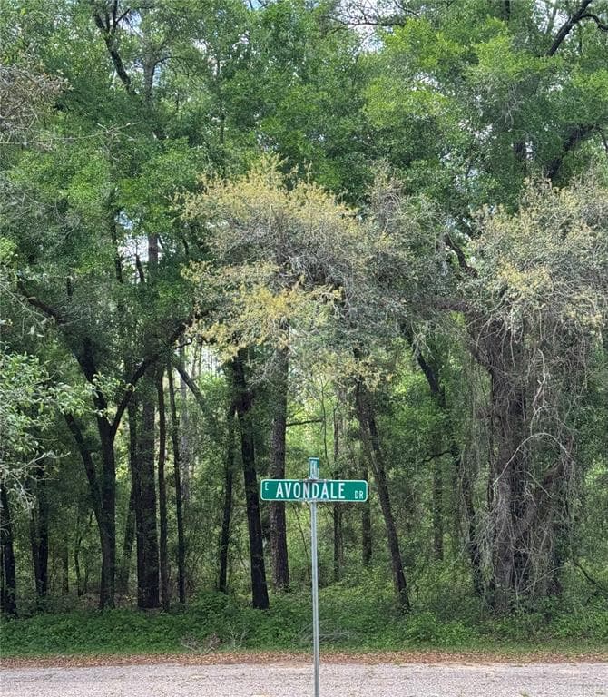 433 E AVONDALE DRIVE DUNNELLON, FL 34434