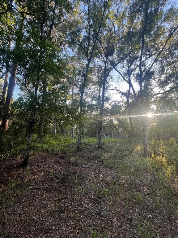 PINON DRIVE WEBSTER, FL 33597