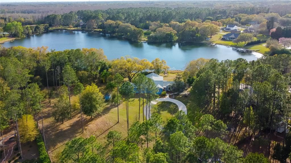 NEWBERGER LUTZ, FL 33549