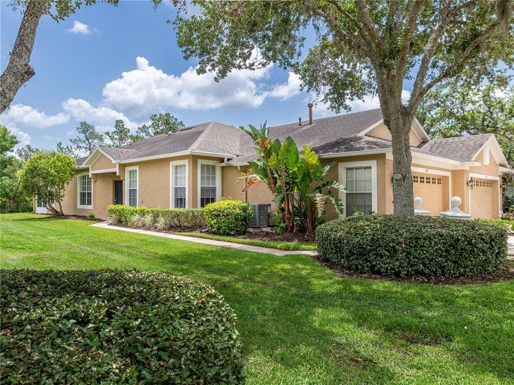 19137 LAKE AUDUBON DRIVE TAMPA, FL 33647