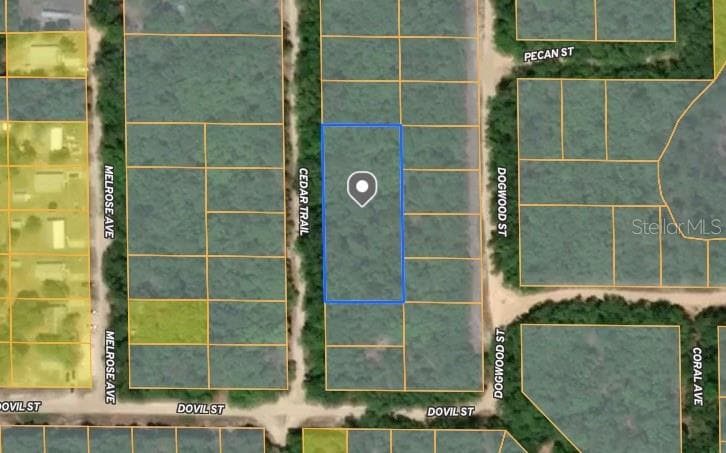 CEDAR TRAIL INTERLACHEN, FL 32148