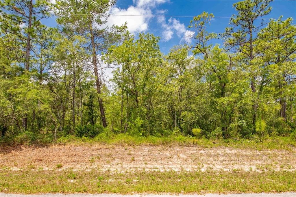 10382 FLYCATCHER ROAD BROOKSVILLE, FL 34613