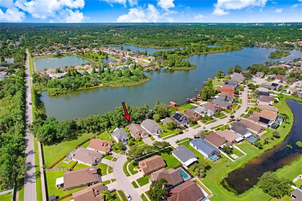 1260 VINETREE DRIVE BRANDON, FL 33510