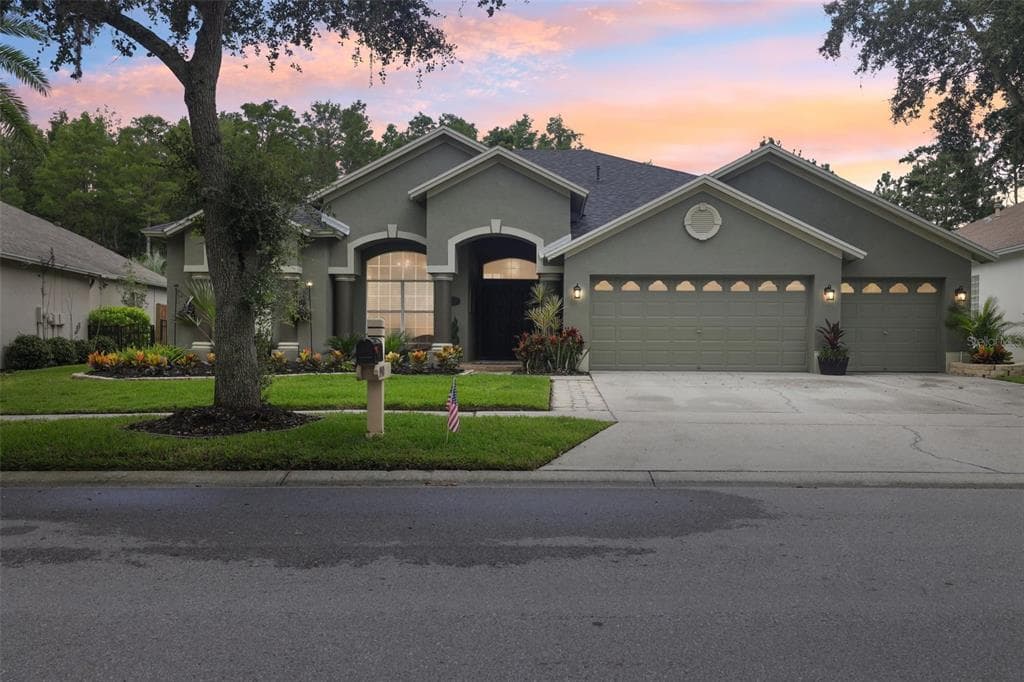 19410 FRENCH LACE DRIVE LUTZ, FL 33558