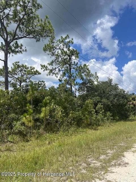 0 0 YELLOW FROG AVENUE WEEKI WACHEE, FL 34614