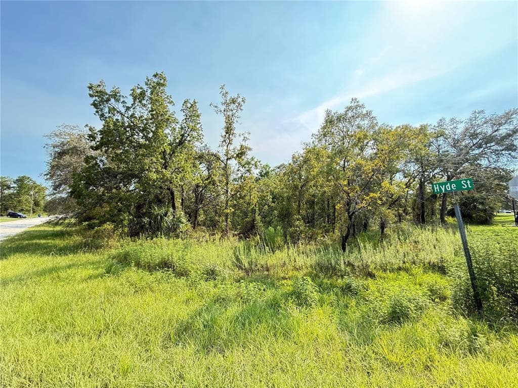 11096 MARSH WREN AVENUE WEEKI WACHEE, FL 34614