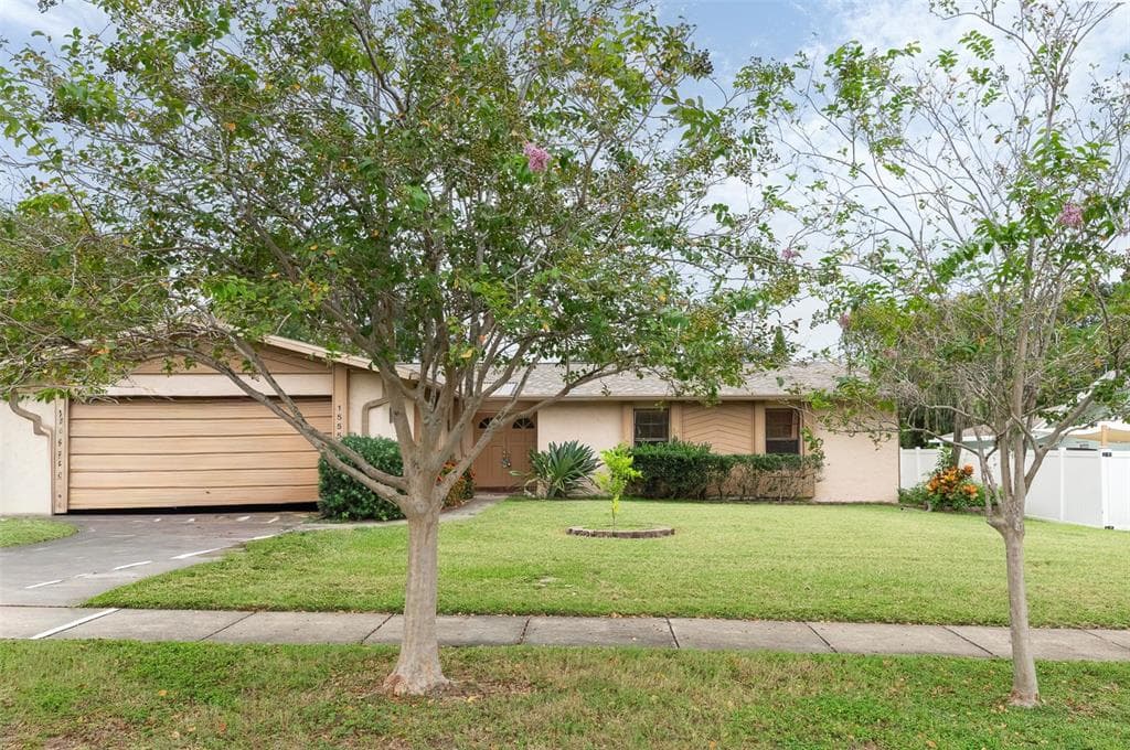 1555 FIFE COURT