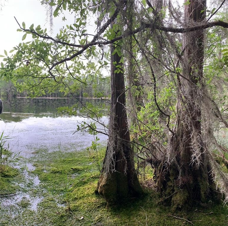SW TOWER ROAD LEE, FL 32059