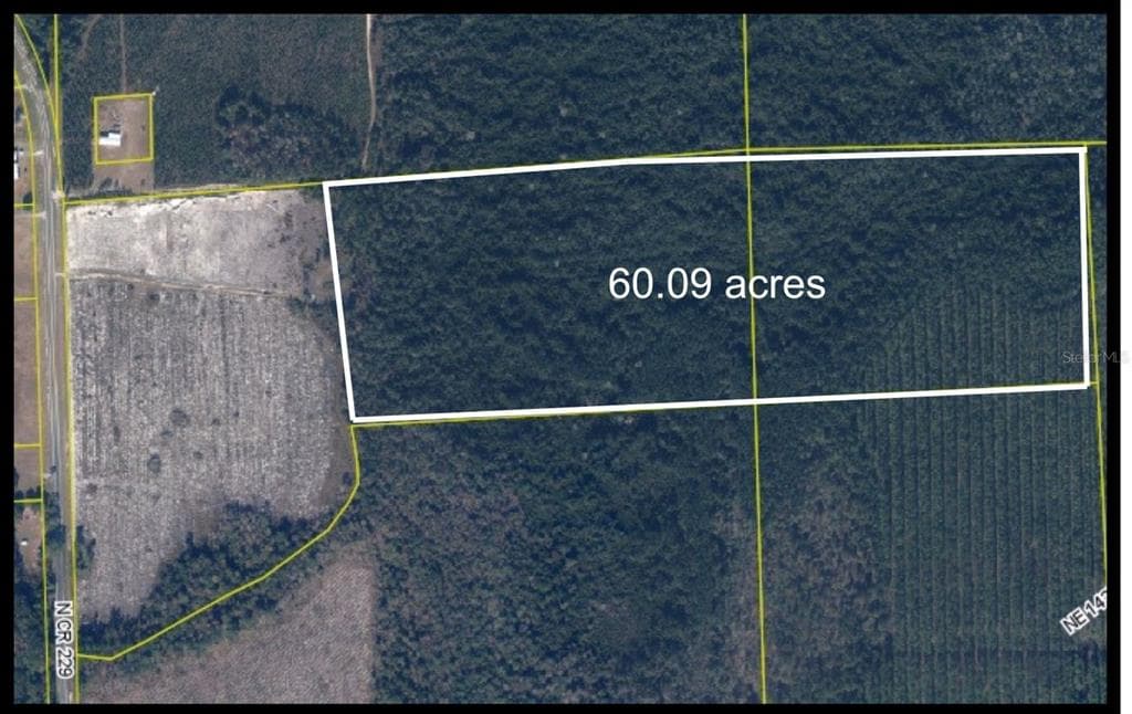 TBD N COUNTY RD 229 RAIFORD, FL 32083
