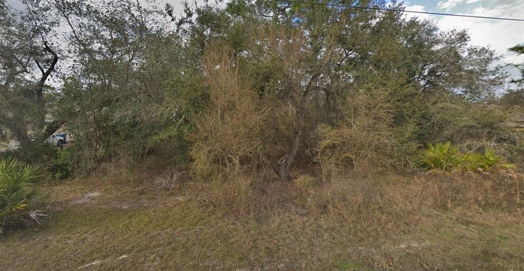 11405 PETREL AVENUE WEEKI WACHEE, FL 34614
