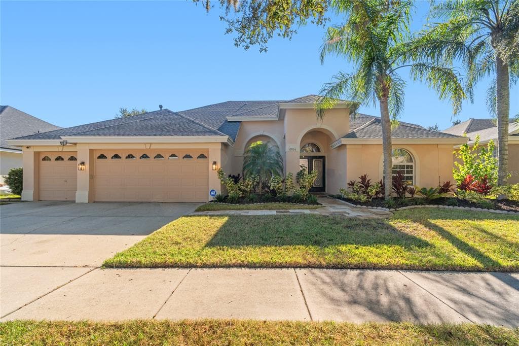 19104 NATURE PALM LANE TAMPA, FL 33647