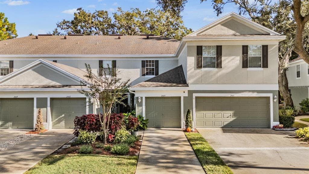 2445 EARLSWOOD COURT BRANDON, FL 33510