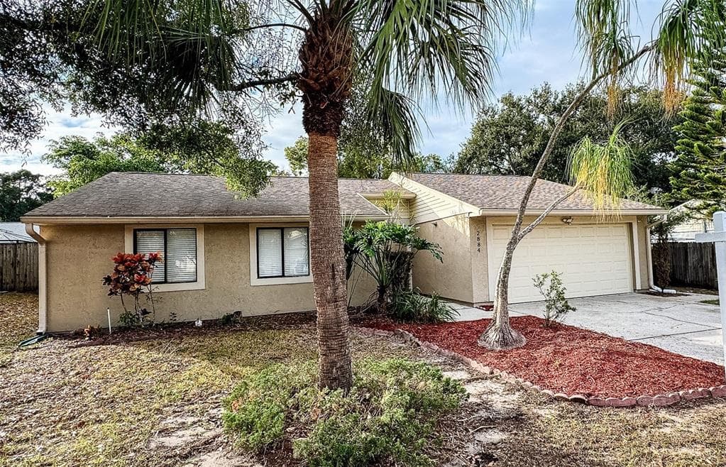 2884 CINNAMON BEAR TRAIL PALM HARBOR, FL 34684