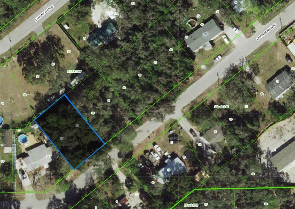 000 LANTANA AVENUE NEW PORT RICHEY, FL 34654