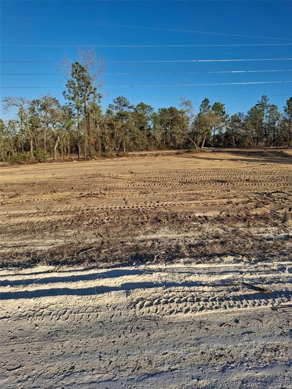 15176 GONZO ROAD WEEKI WACHEE, FL 34614