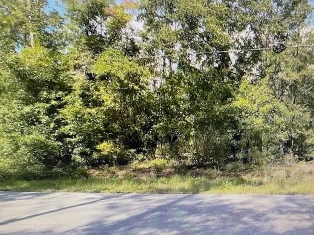 2265 SW ADMIRAL LANDING DRIVE DUNNELLON, FL 34431