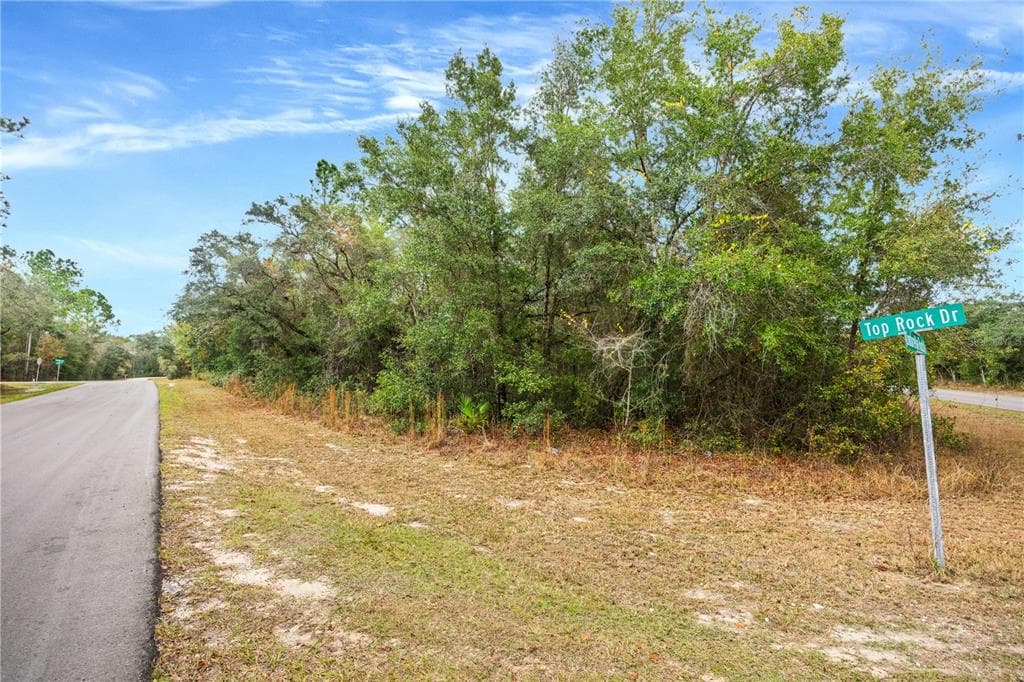 TOP ROCK DRIVE WEBSTER, FL 33597