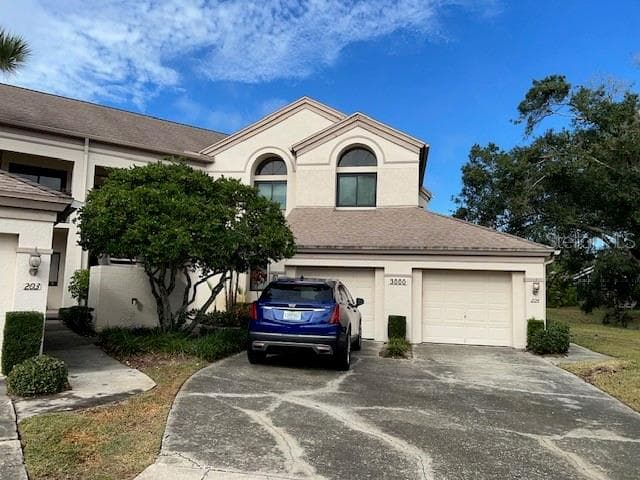 3000 RED OAK COURT UNIT 204 PALM HARBOR, FL 34684