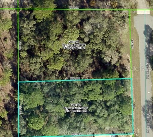 Lot 1 KINGFISHER ROAD WEEKI WACHEE, FL 34614