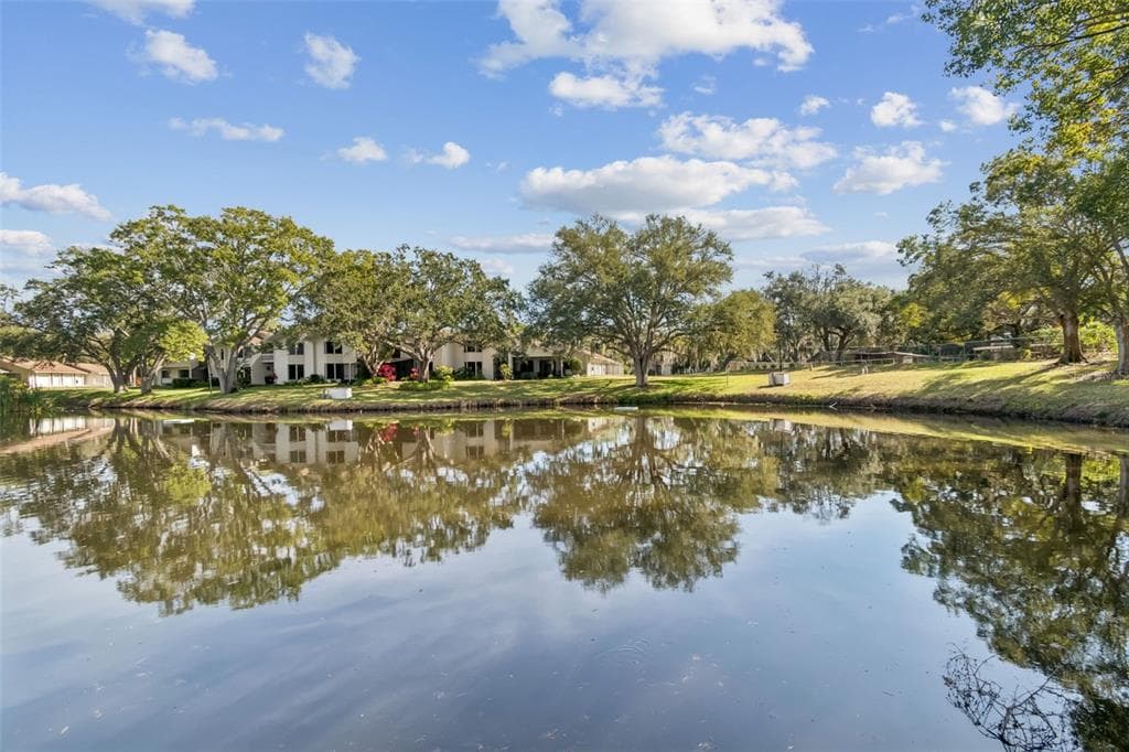 486 LAKEVIEW DRIVE UNIT 54 PALM HARBOR, FL 34683