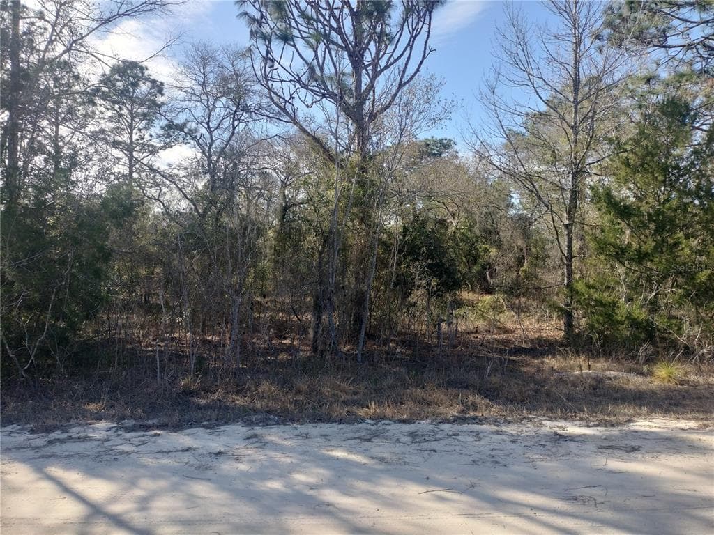 SE 137TH COURT MORRISTON, FL 32668