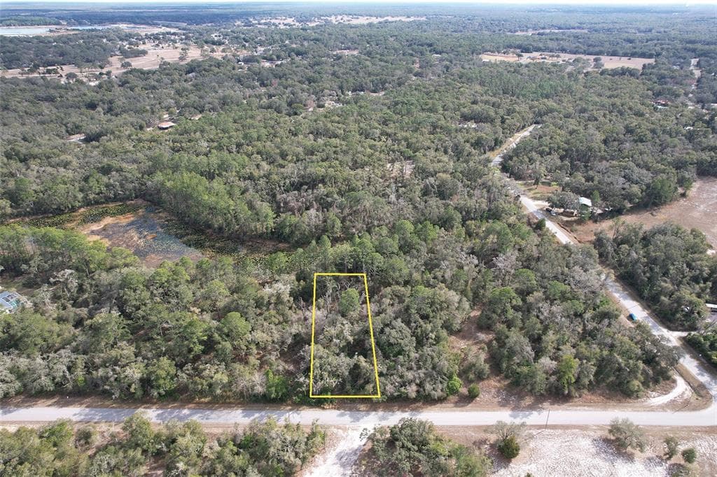 LEWIS LANE WEBSTER, FL 33597