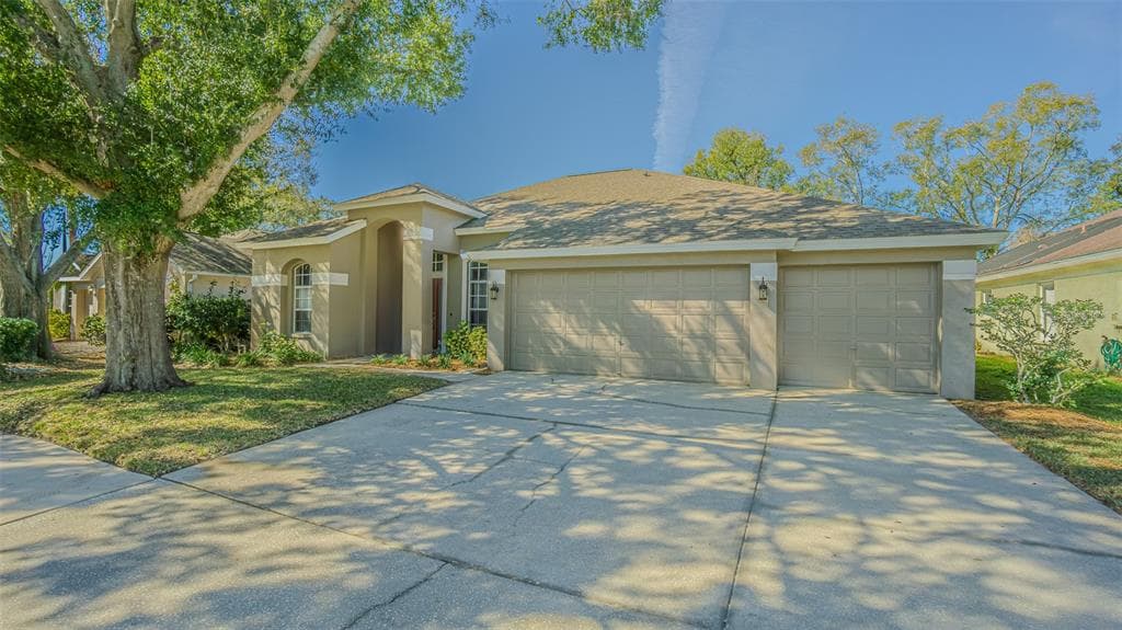 12804 BIG SUR DRIVE TAMPA, FL 33625