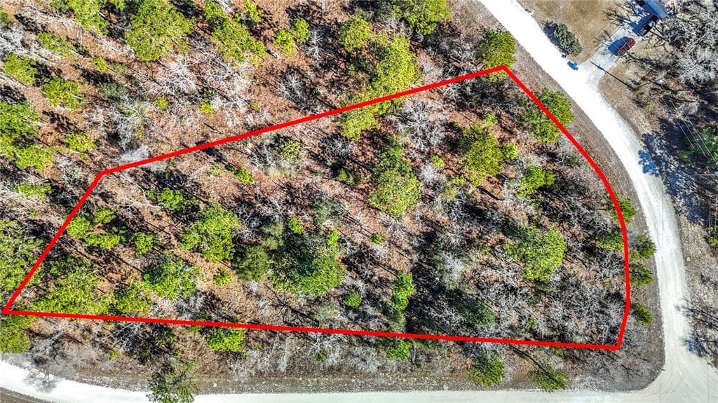 16070 SHELDRAKE LOOP WEEKI WACHEE, FL 34614