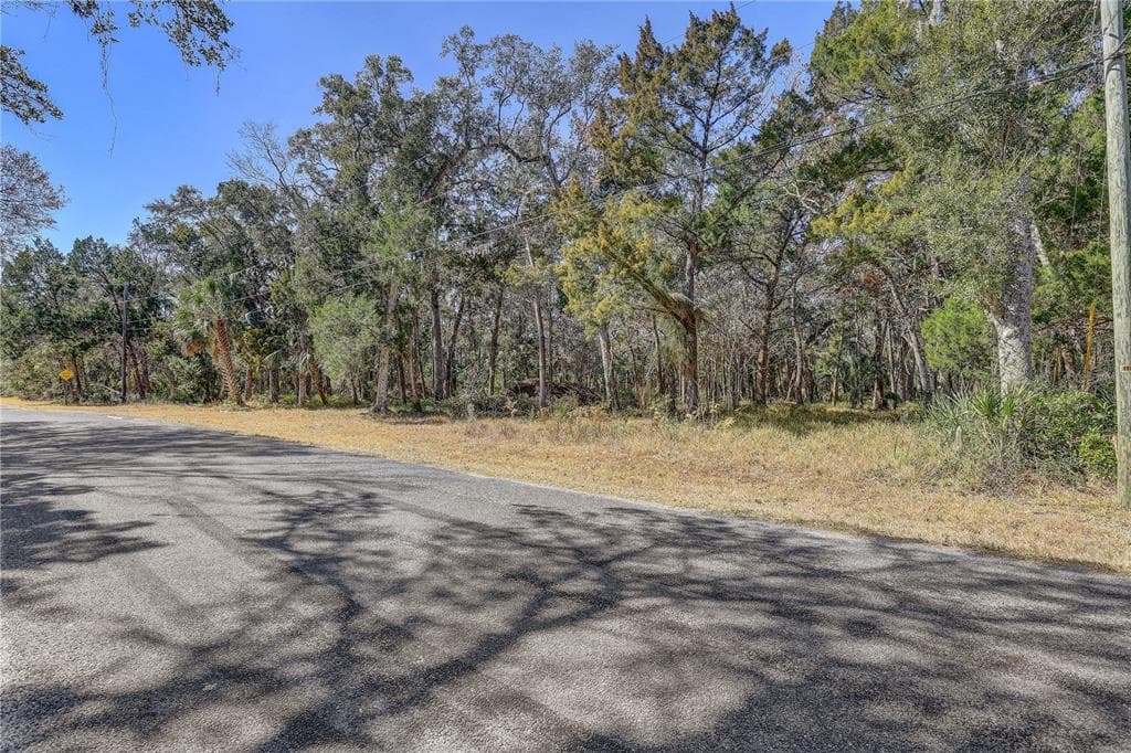 6392 S WESTVIEW DRIVE HOMOSASSA, FL 34448