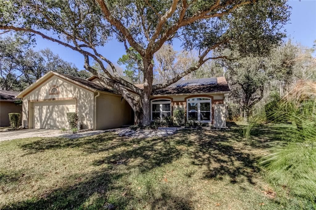 1795 BAYHILL DRIVE OLDSMAR, FL 34677