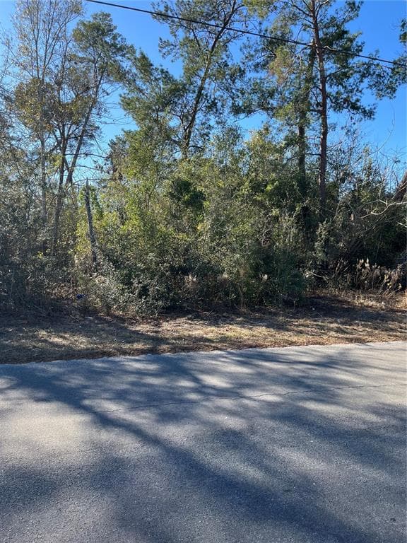 0 PITCAIRN STREET BROOKSVILLE, FL 34613