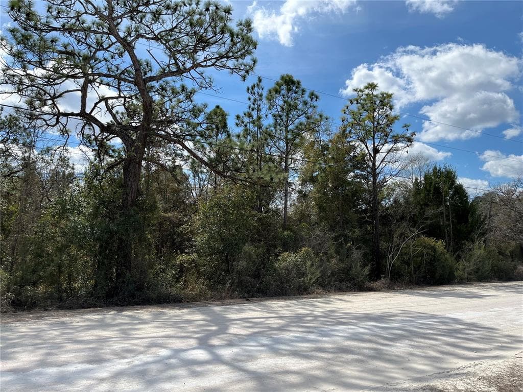 12270 PEACEFUL AVENUE WEEKI WACHEE, FL 34614