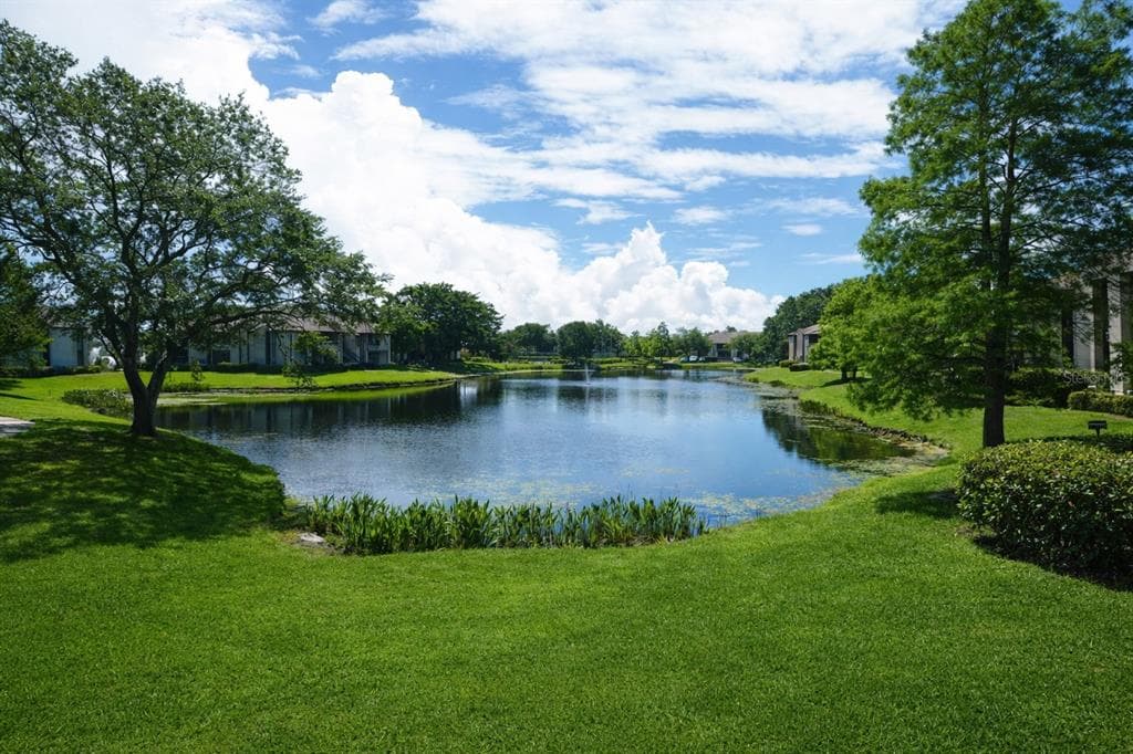 10265 GANDY BOULEVARD N UNIT 1711 ST PETERSBURG, FL 33702